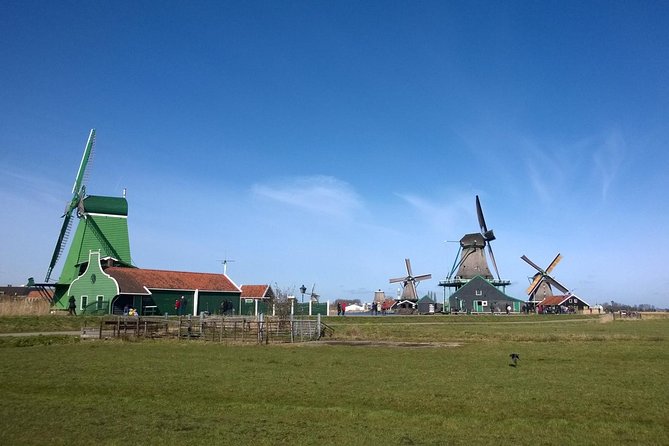 Zaanse Schans Windmills, Clogs and Dutch Cheese Small-Group Tour from Amsterdam - Cheese making and tasting at Catharina Hoeve