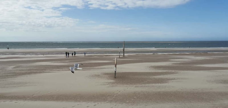 Zeeland Strand safari met visnet NL/DE - Booking, cancellation, and languages