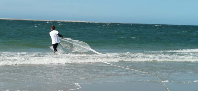 Zeeland Strand safari met visnet NL/DE - Is $17 a fair price?