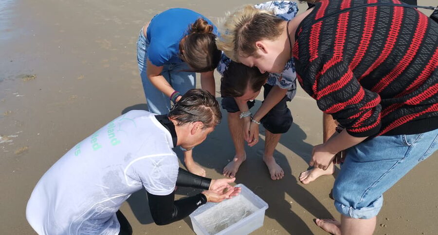 Zeeland Zeehonden strand safari NL/DE - Is $19 a fair price?